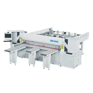 Panel Saws (Beam Saws)
